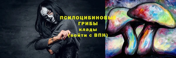 бутират Гусев