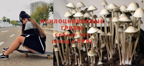 марки lsd Горняк