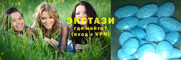 гашик Гусь-Хрустальный