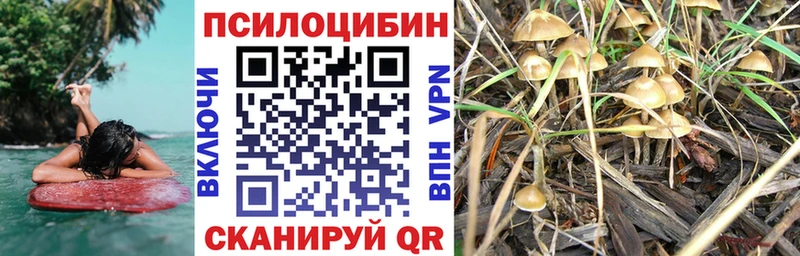 наркошоп  Ялта  Галлюциногенные грибы мицелий 