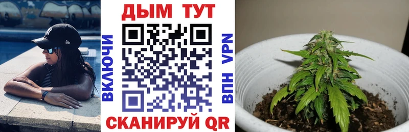Шишки марихуана семена  наркотики  Ялта 